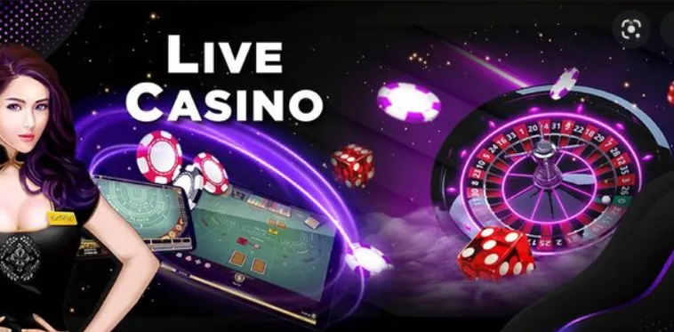 Casino Online Tinycat99 Thiên Đường Giải Trí Cho Dân Chơi Chuyên Nghiệp