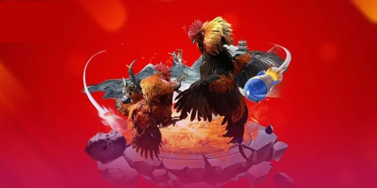 Trải Nghiệm C&aacute; Cược Đ&aacute; G&agrave; Tinycat99 Đầy Kịch T&iacute;nh V&agrave; Hấp Dẫn